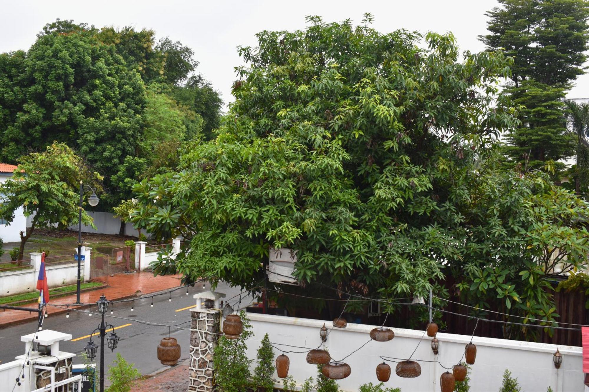 Monsane Villa Luang Prabang Exterior photo